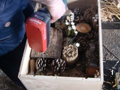 Insektenhotel to go