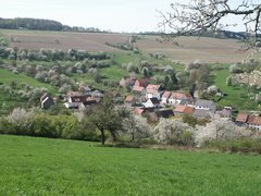 Streuobstwiesen