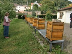 Kreisgartentag - Fuehrung Klostergarten