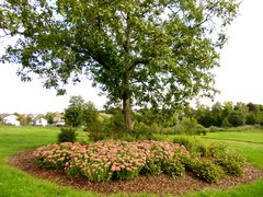 Kreisgartentag - Fuehrung Klostergarten