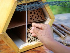 Kita Selbach am Wildbienenhotel