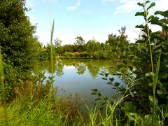 Kreisgartentag - Fuehrung Klostergarten